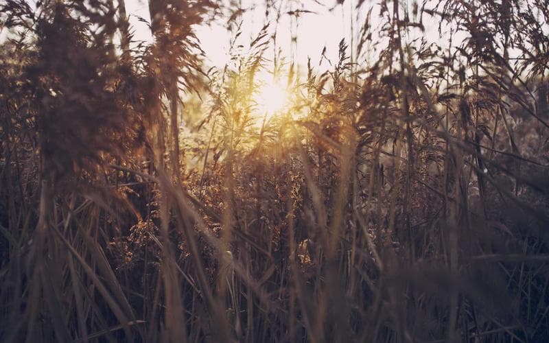 Revolusi Energi Terbarukan