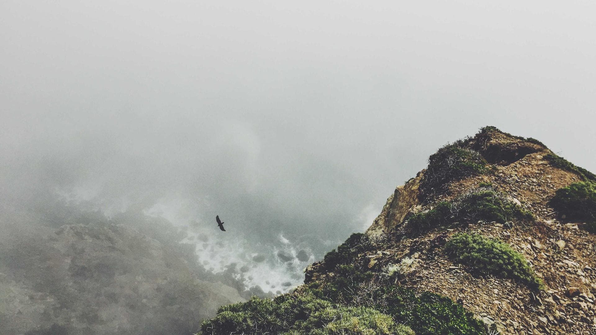 Kincir angin di lautan biru